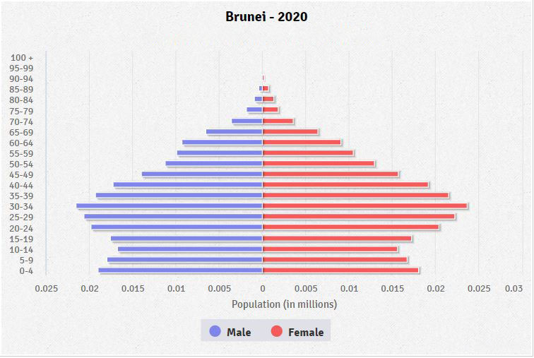 Population pyramid of Brunei