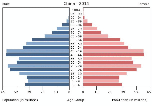 china-population-pyramid-2014.gif