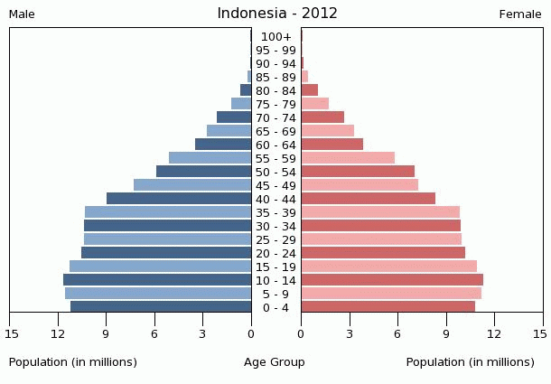 Population pyramid of Indonesia