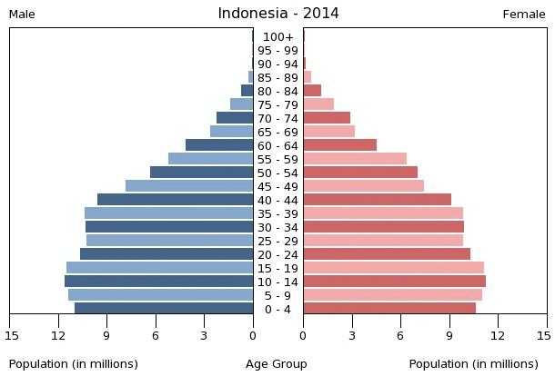 [Image: indonesia-population-pyramid-2014.gif]