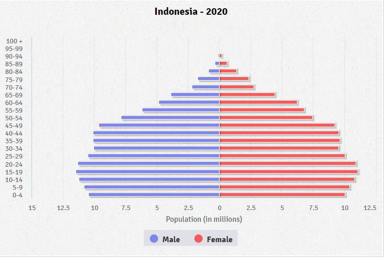 Population pyramid of Indonesia