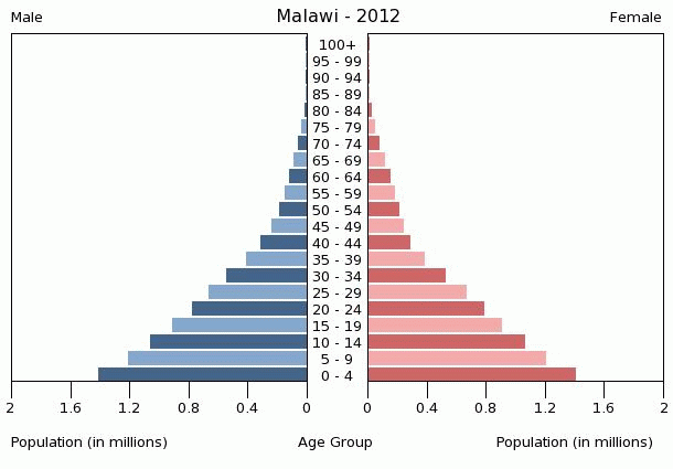 Population pyramid of Malawi