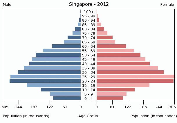 http://www.indexmundi.com/graphs/population-pyramids/singapore-population-pyramid-2012.gif