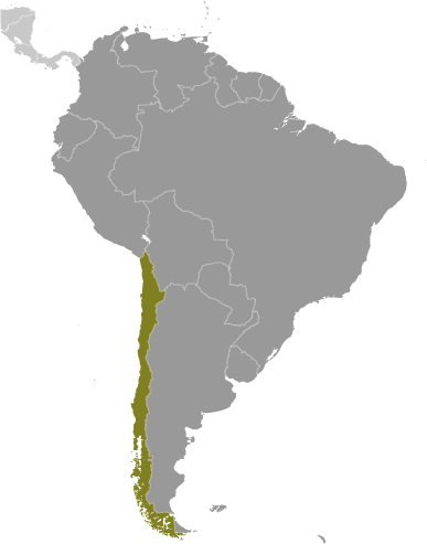 Map showing location of Chile