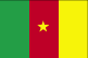 Bandierina di Camerun