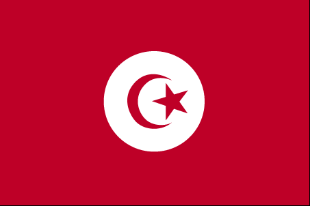 Tunisia Flag description - Government