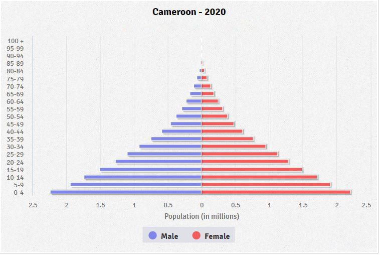Population pyramid of Cameroon