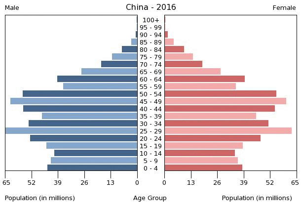 Chinese Age Chart