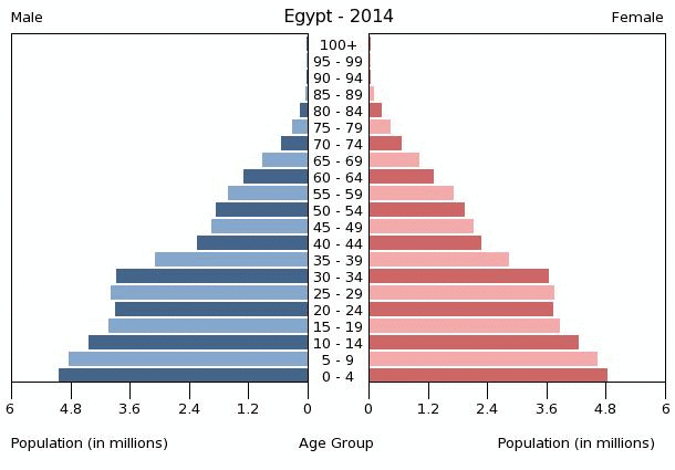 Hasil gambar untuk egypt population pyramid