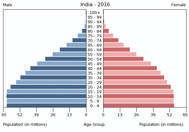 DRAMA!Indija i Pakistan na rubu rata.Pakistan oborio dva indijska zrakoplova i zarobio pilota - Page 3 India-population-pyramid-2016