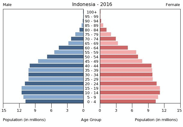 Population pyramid of Indonesia