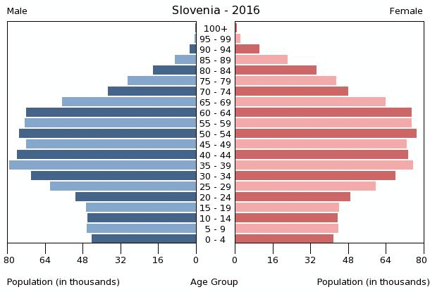 Sloveniji nedostaje radne snage. Svako deseti radnik je stranac. Slovenia-population-pyramid-2016