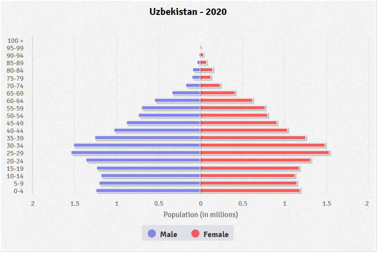 Population pyramid of Uzbekistan