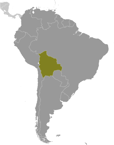 Map showing location of Bolivia