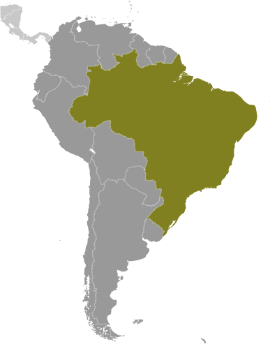 Map showing location of Brazil